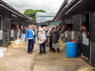 PN060823-146 - Paul Nicholls Stable Visit